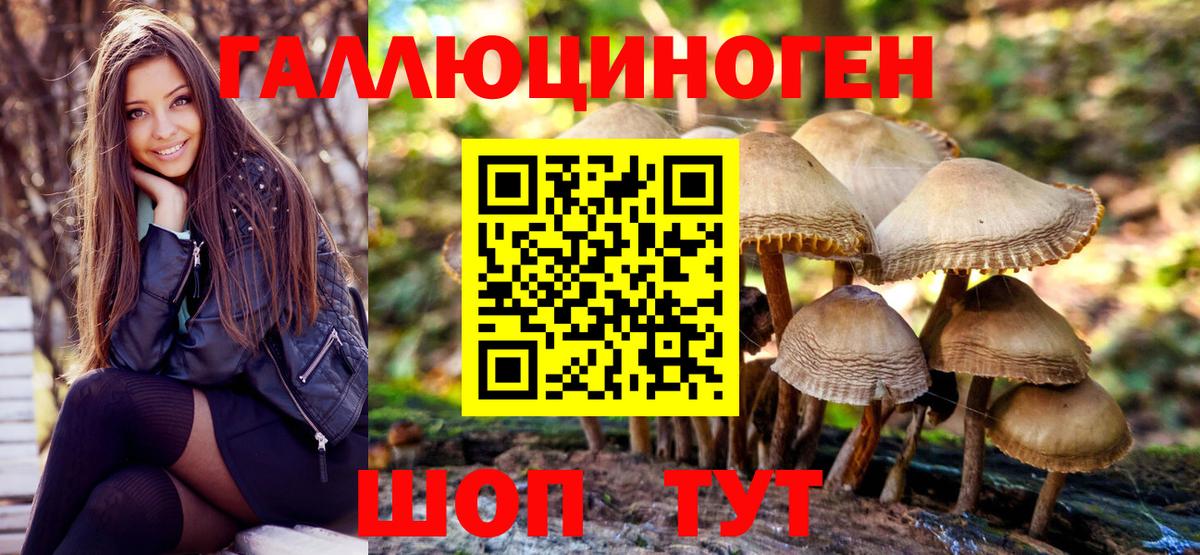 Галлюциногенные грибы GOLDEN TEACHER Майкоп