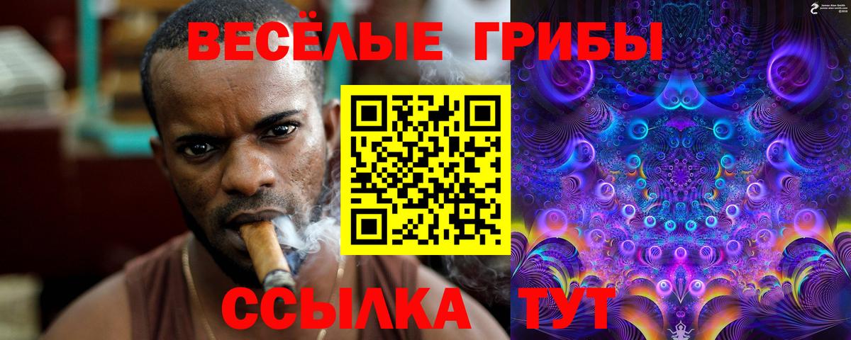 МДМА Майкоп