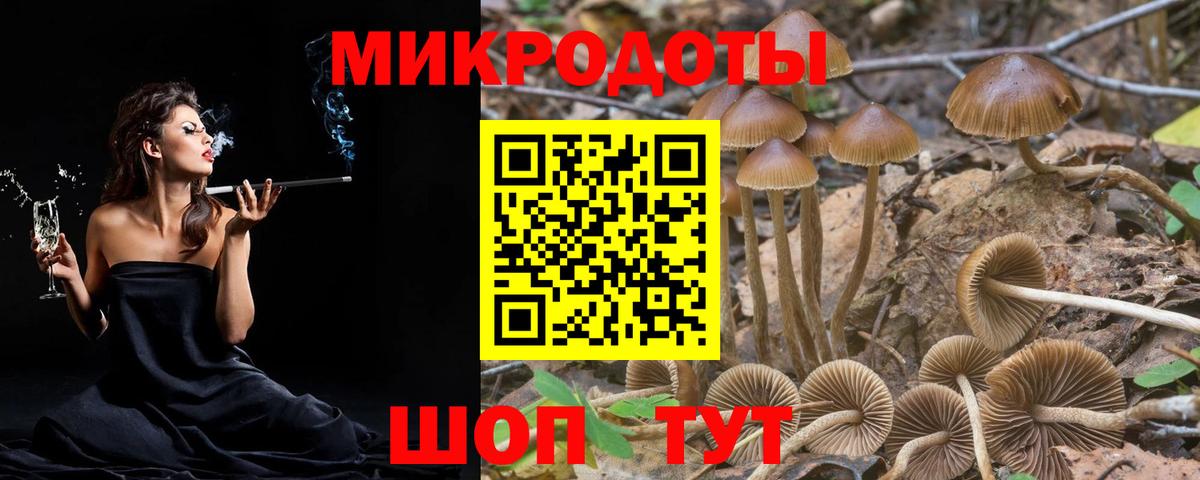 Майкоп  Псилоцибиновые грибы Psilocybine cubensis  продажа наркотиков  Галлюциногенные грибы Cubensis  Вход с VPN 